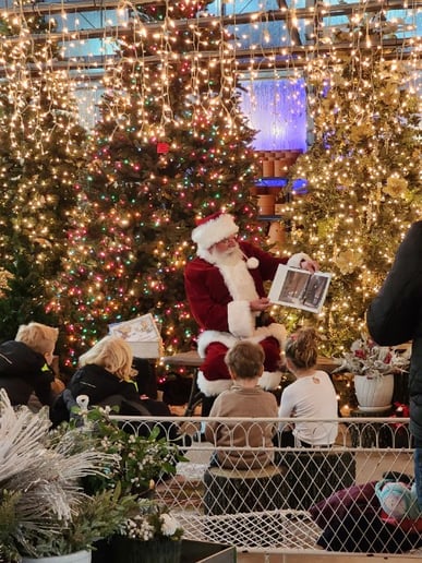 Gallery photo 6 of Santa Dave