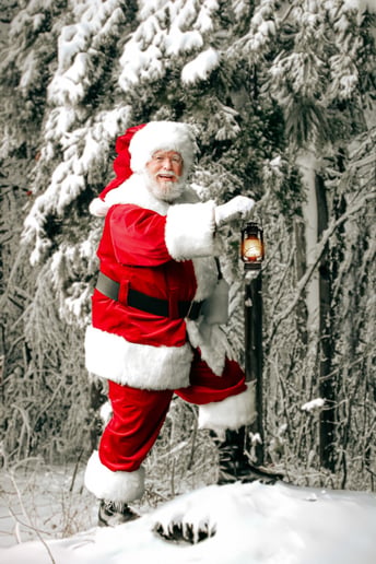 Gallery photo 1 of Santa Dave Nicholas