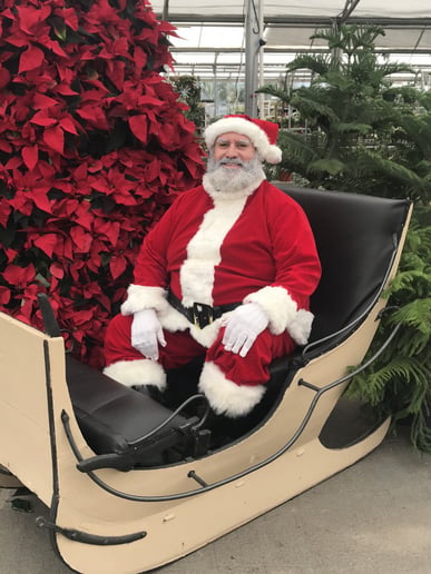 Gallery photo 8 of Santa Dave