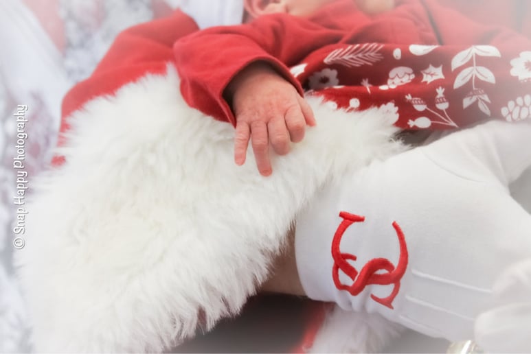 Gallery photo 11 of Santa Dave