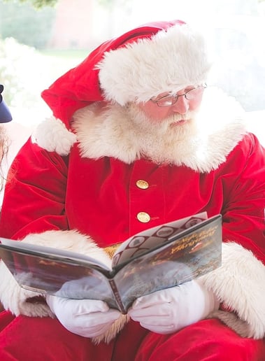 Gallery photo 1 of Santa Dave