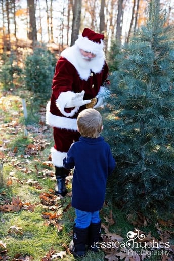 Gallery photo 2 of Santa Dave