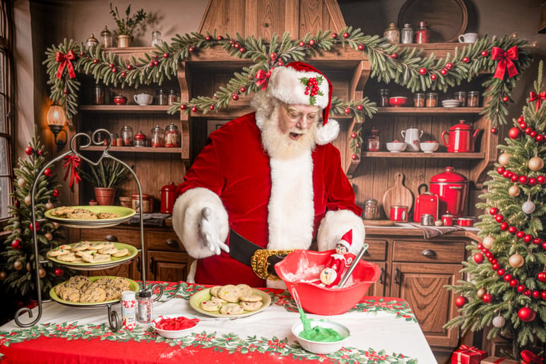 Gallery photo 5 of Santa Dave