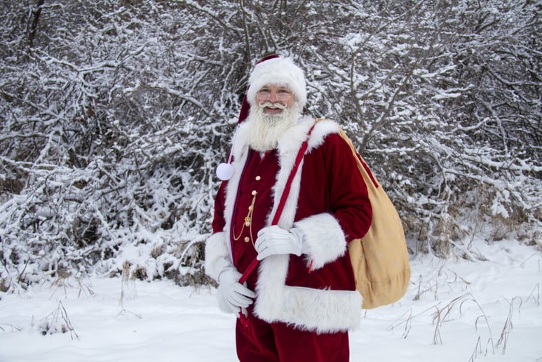 Gallery photo 7 of Santa Dave