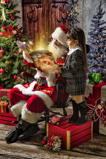 Gallery photo 1 of Santa Davey