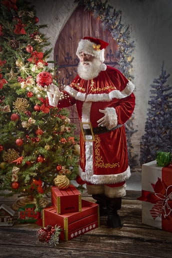Gallery photo 2 of Santa Davey