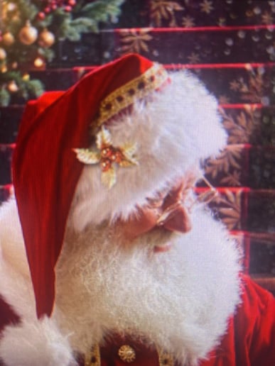 Gallery photo 6 of Santa Davey