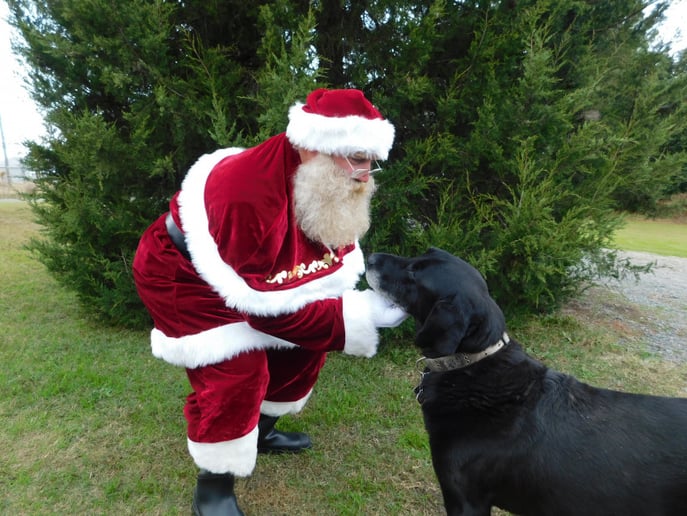 Gallery photo 9 of Santa David