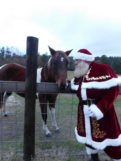 Gallery photo 10 of Santa David