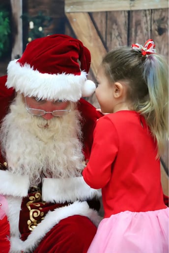 Gallery photo 2 of Santa David