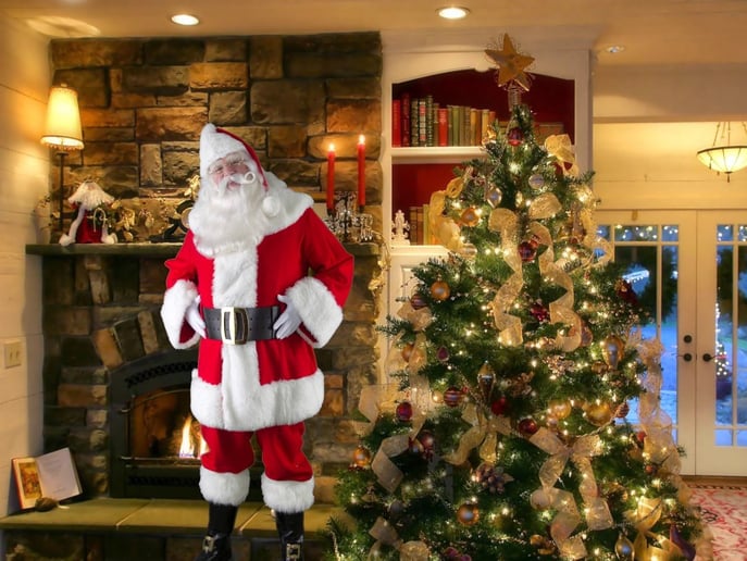 Gallery photo 1 of Santa David