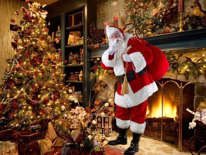 Gallery photo 2 of Santa David