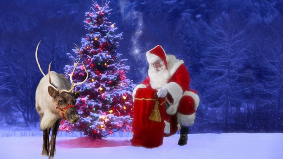 Gallery photo 3 of Santa David