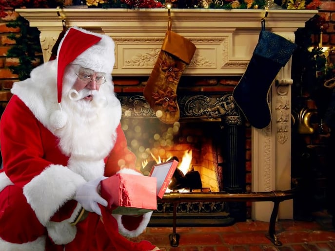 Gallery photo 4 of Santa David