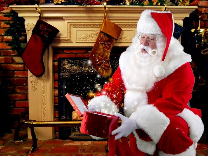 Gallery photo 5 of Santa David