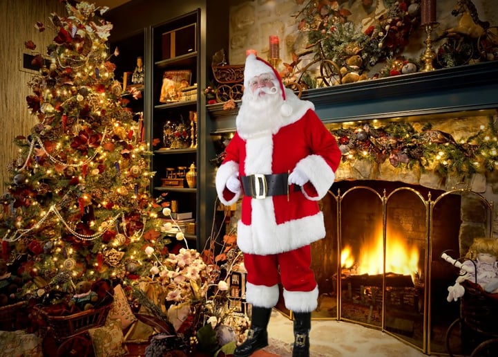 Gallery photo 6 of Santa David