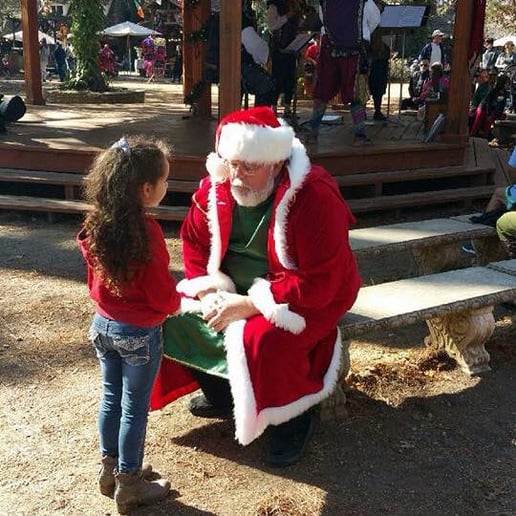 Gallery photo 8 of Santa David Claus