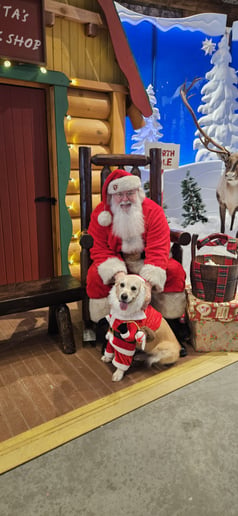 Gallery photo 10 of Santa David Claus