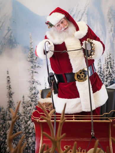 Gallery photo 6 of Santa David Nelson