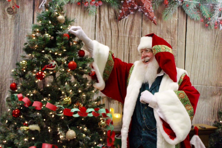 Gallery photo 7 of Santa David Nelson
