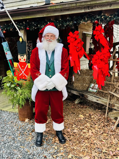 Gallery photo 10 of Santa David