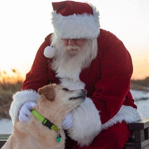 Gallery photo 8 of Santa Dennis
