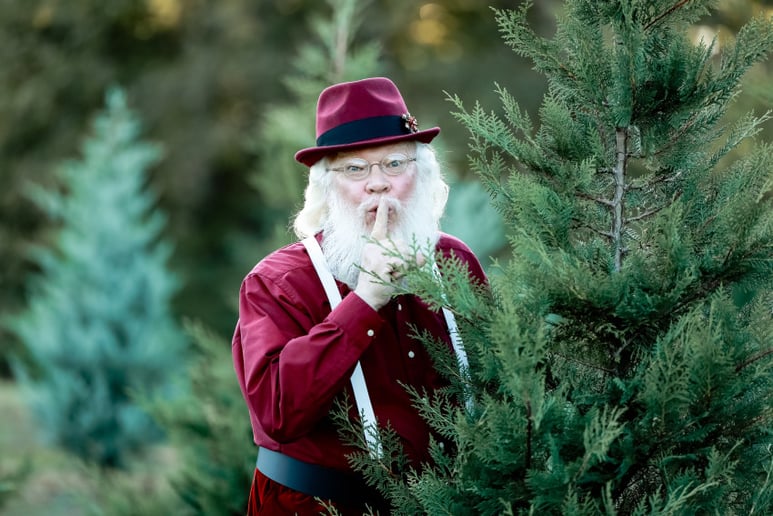 Gallery photo 5 of Santa Denver