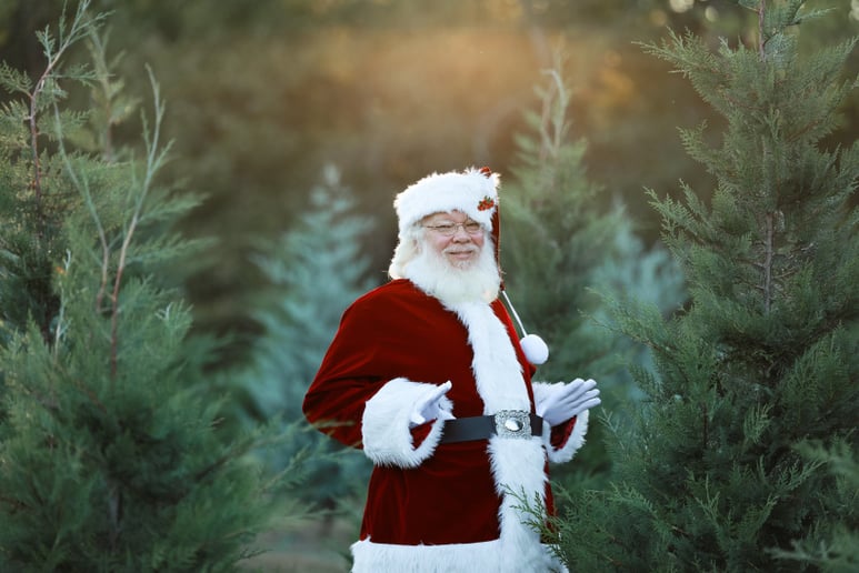 Gallery photo 6 of Santa Denver