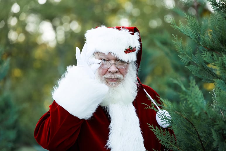 Gallery photo 8 of Santa Denver