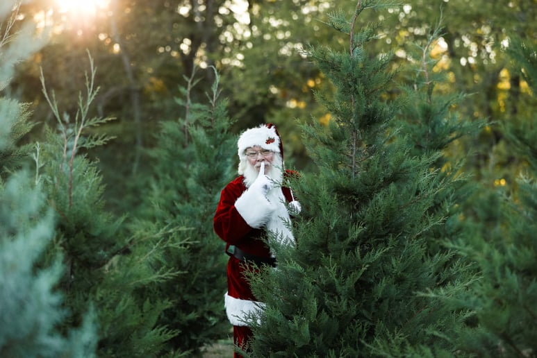 Gallery photo 9 of Santa Denver