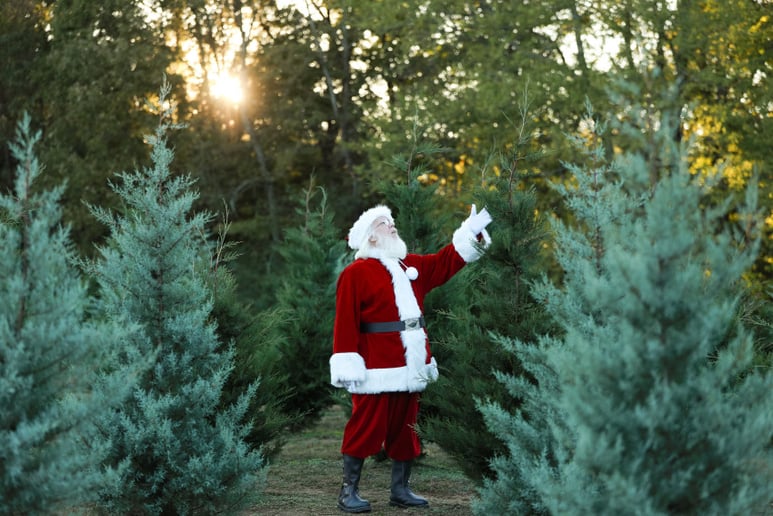 Gallery photo 11 of Santa Denver