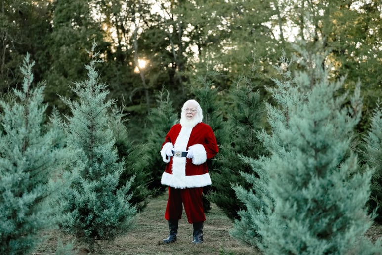 Gallery photo 15 of Santa Denver