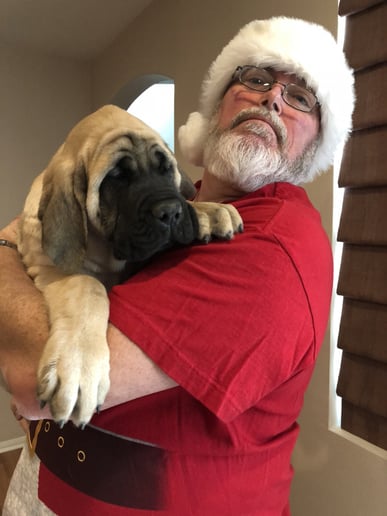 Gallery photo 2 of Santa Dg