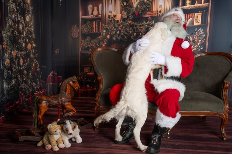 Gallery photo 7 of Santa Domhnall