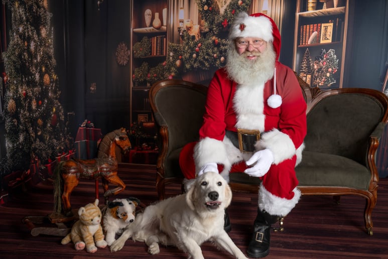 Gallery photo 8 of Santa Domhnall
