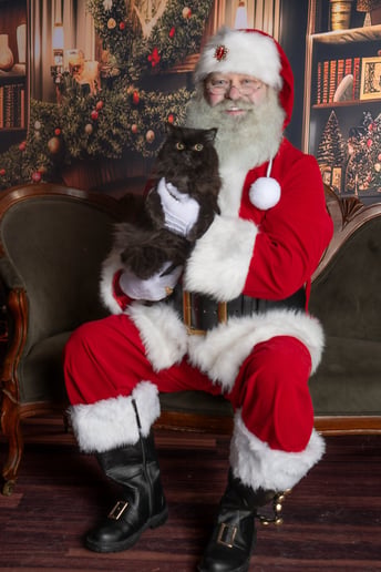 Gallery photo 9 of Santa Domhnall