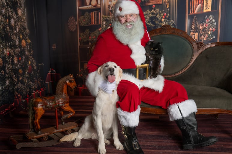Gallery photo 10 of Santa Domhnall
