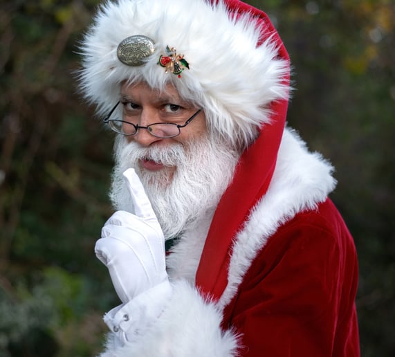 Gallery photo 3 of Santa David