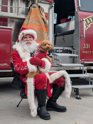 Gallery photo 5 of Santa David