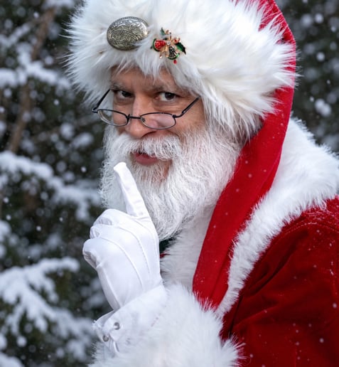 Gallery photo 1 of Santa David