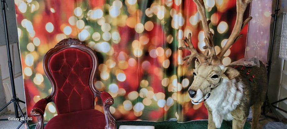 Gallery photo 14 of Santa Don - St Louis and Metro East