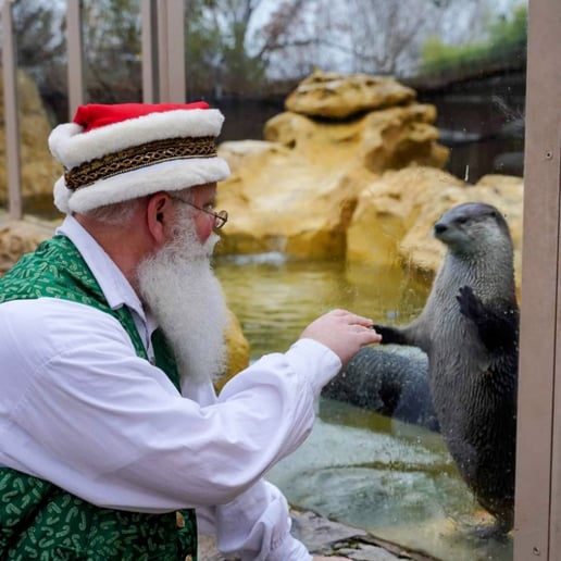 Gallery photo 5 of McCutchanville Santa