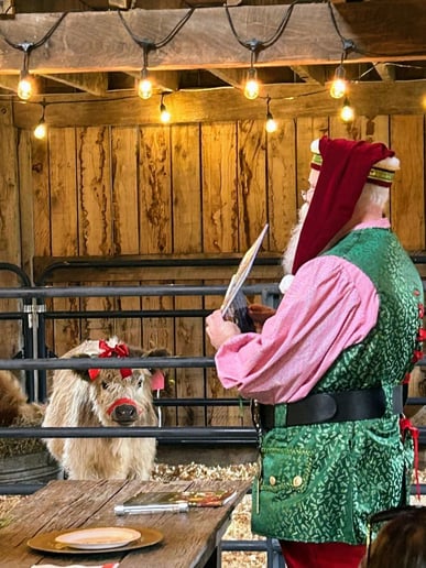 Gallery photo 6 of McCutchanville Santa