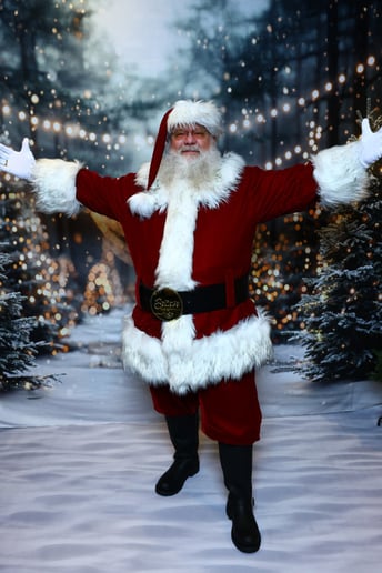 Gallery photo 4 of Santa Don