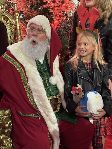 Gallery photo 10 of Santa Don