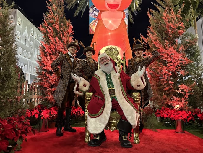 Gallery photo 12 of Santa Don