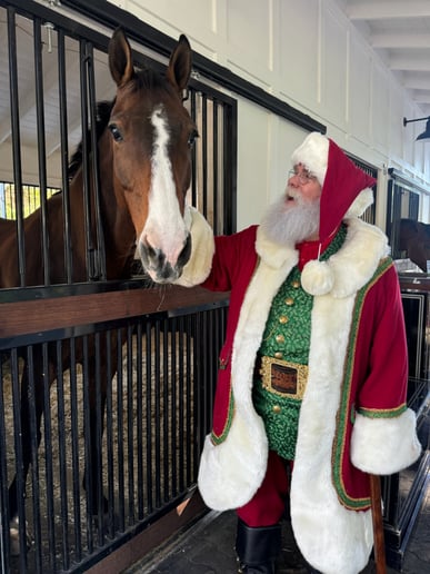 Gallery photo 19 of Santa Don