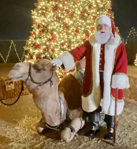 Gallery photo 8 of Santa Don