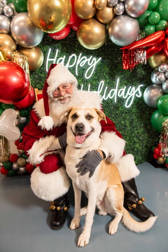 Gallery photo 2 of Santa Doug