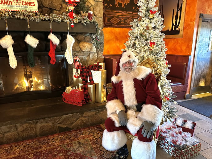Gallery photo 4 of Santa Doug